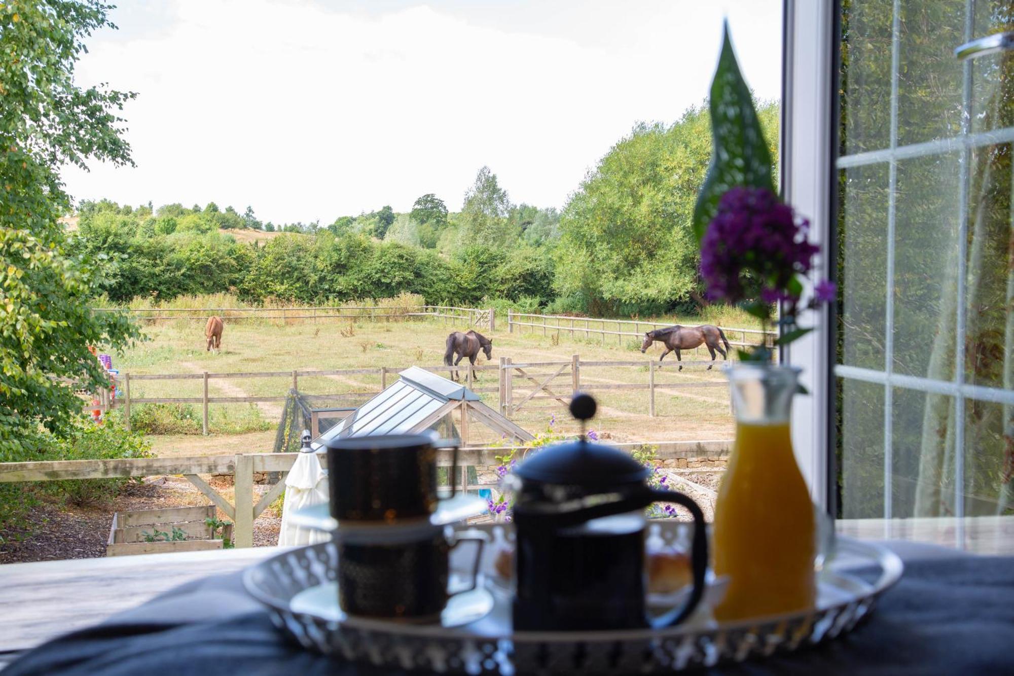 Cherry Orchard Farm South Wraxall Номер фото